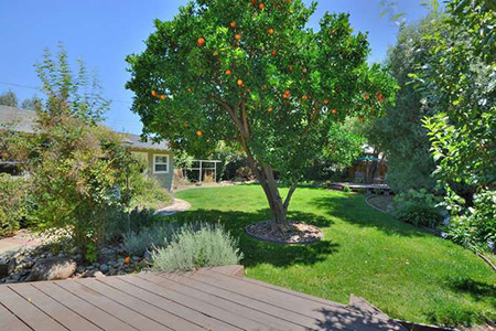Backyard off Master Suite