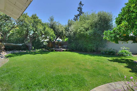 Campbell - Willow Glen Border - Backyard grass area