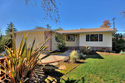 Willow Glen