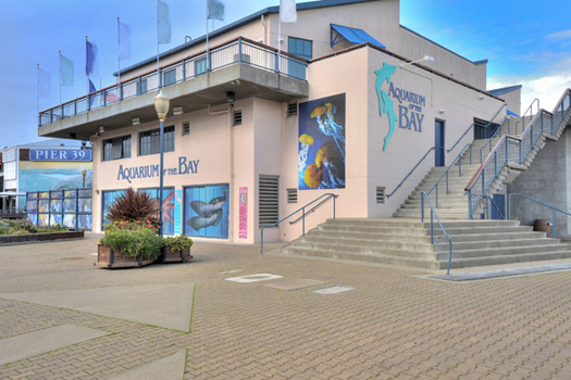 San Fancisco Bay View Condo - Pier 39 Aquarium by the Bay