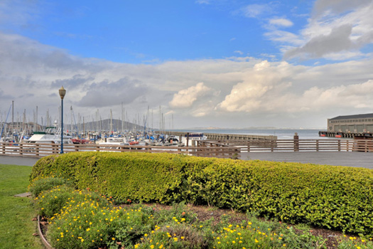 San Francisco Bay View Condo - Scenery 2
