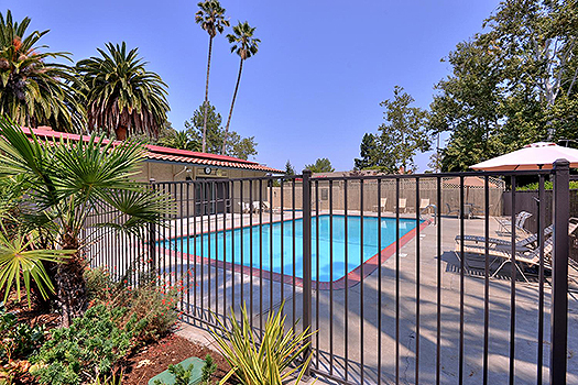 Via Lago - Rinconada Hills - Pool