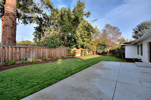 Back Patio