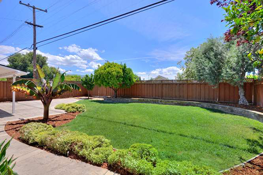 Woodford Backyard